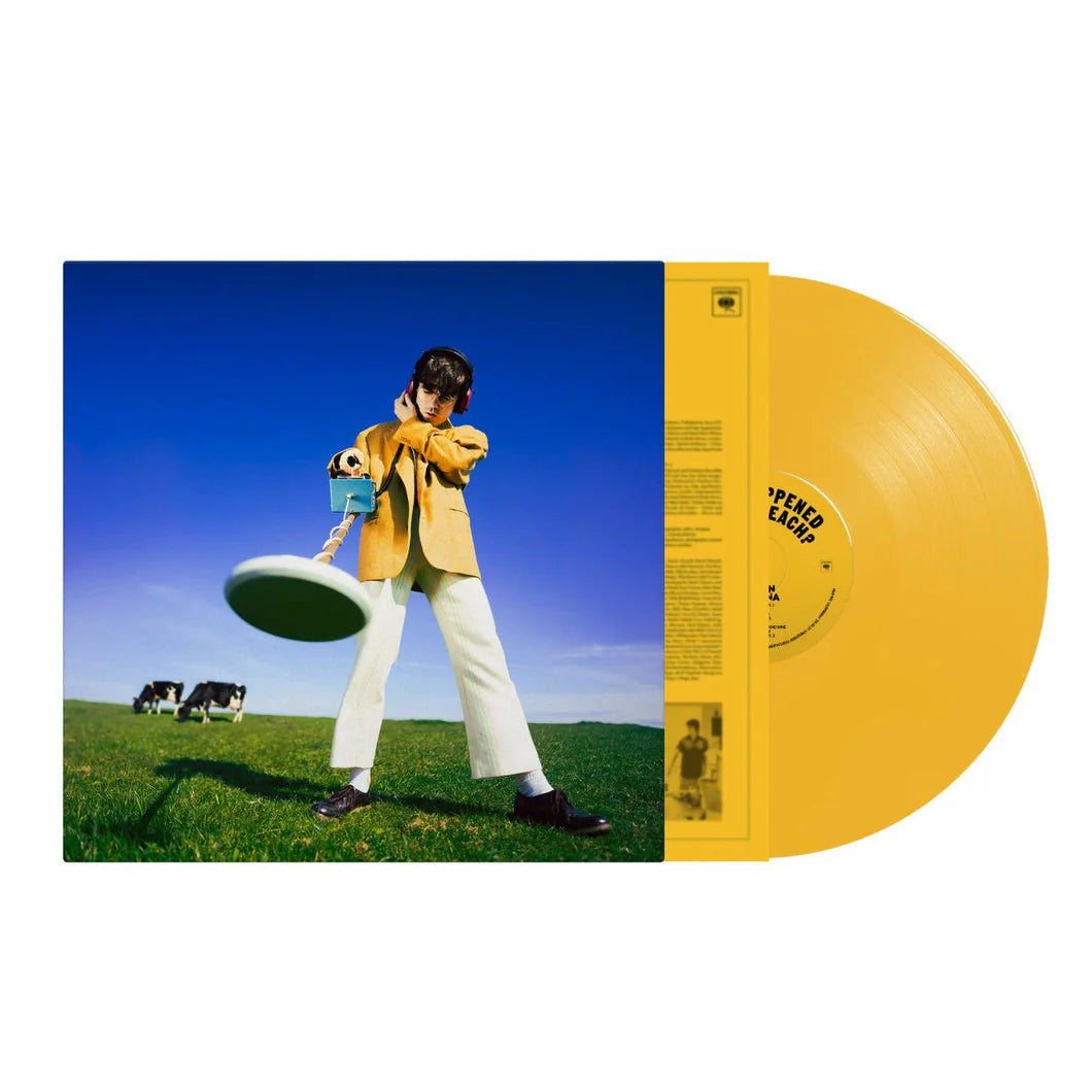 Declan Mckenna - What Happened To The Beach? (Yellow Vinyl)