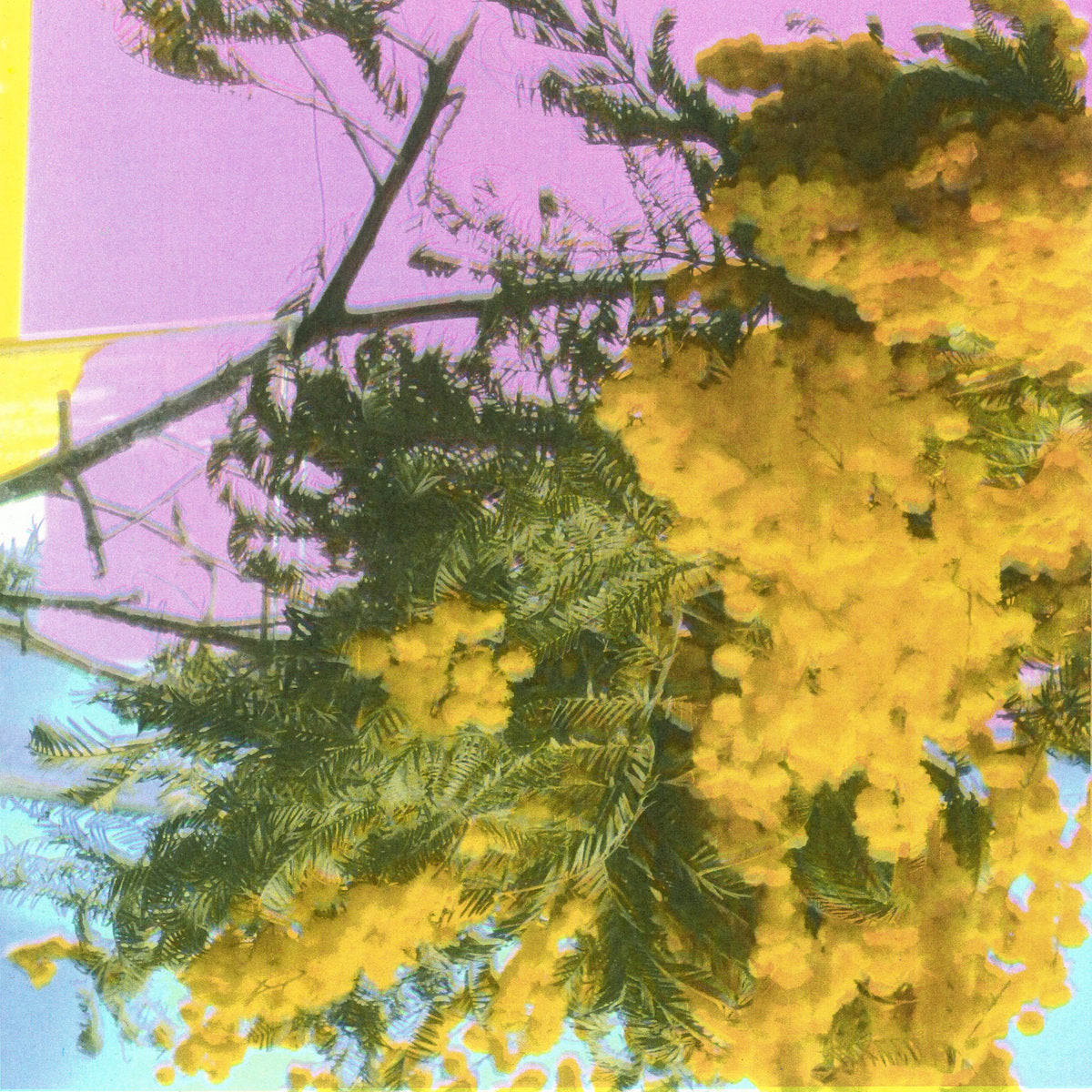 Four Tet- Into Dust (Still Falling) 12" Single