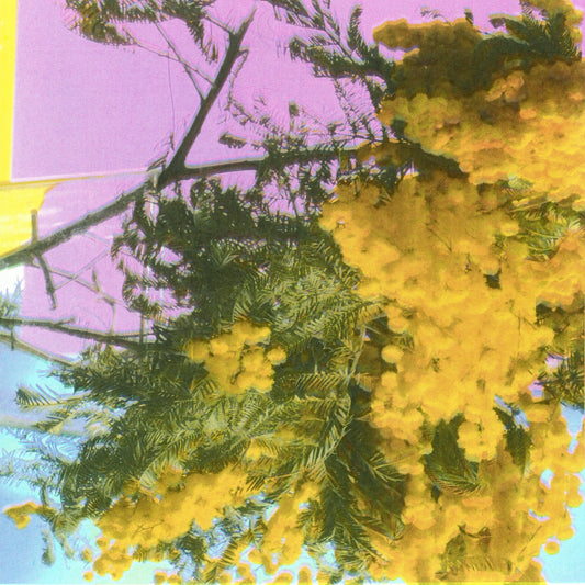 Four Tet- Into Dust (Still Falling) 12" Single