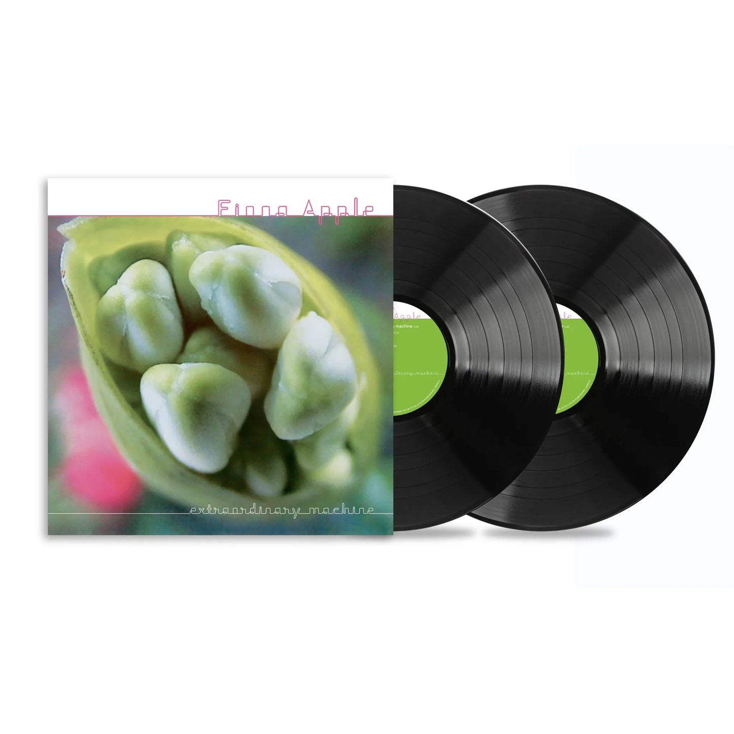 Fiona Apple - Extraordinary Machine