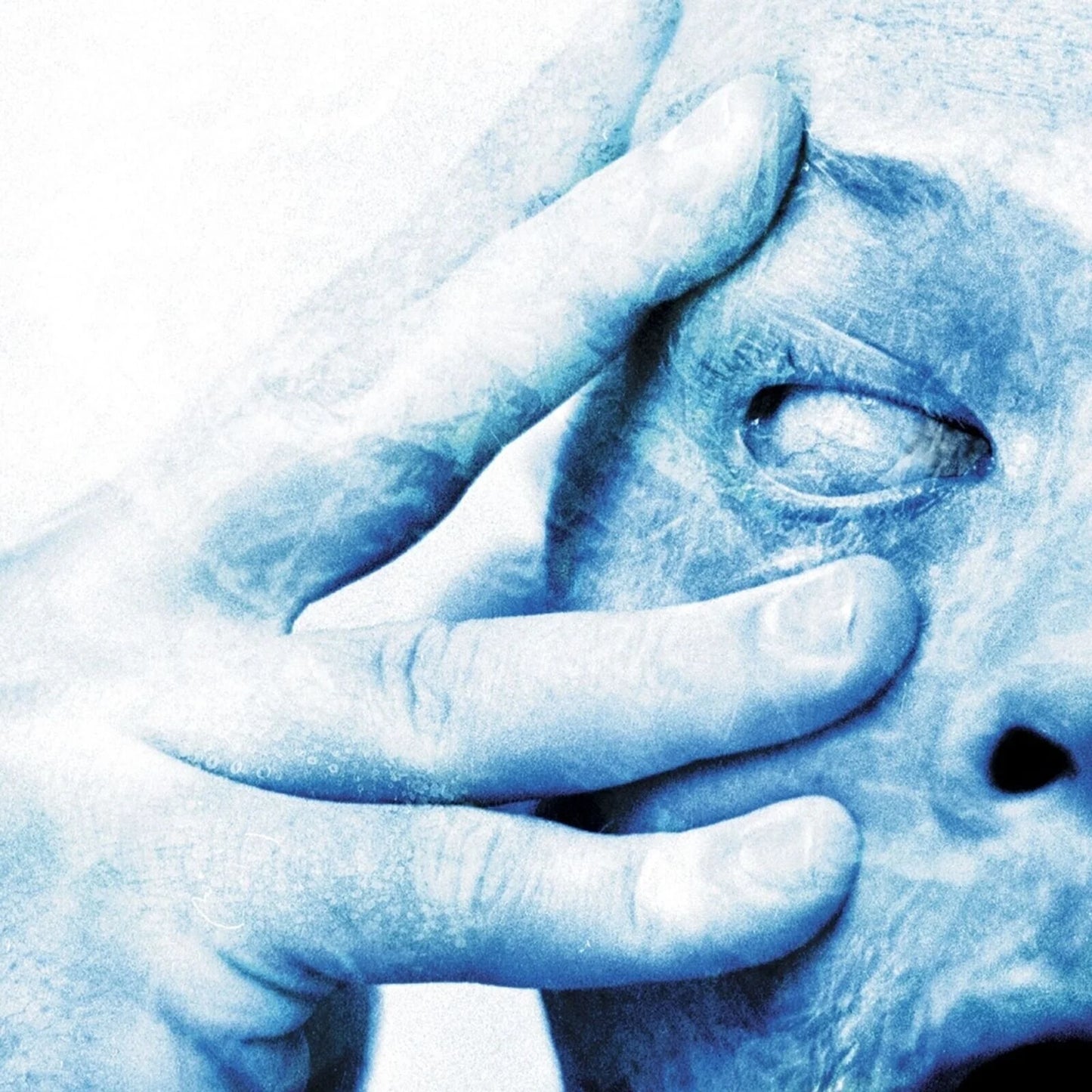 Porcupine Tree - In Absentia (Clear Coloured Vinyl)