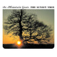 The Mountain Goats - The Sunset Tree (20th Anniversary Apricot Colored Edition)