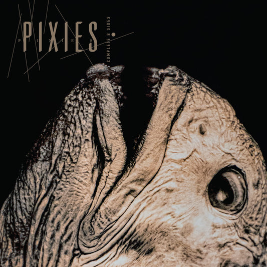 Pixies - Complete B-Sides 1988-97 (Transparent Vinyl)