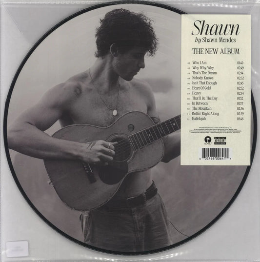 Shawn Mendes - Shawn (Picture Disc)