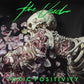 The Used - Toxic Positivity (2 LP Picture Disc, limited, indie-retail exclusive)