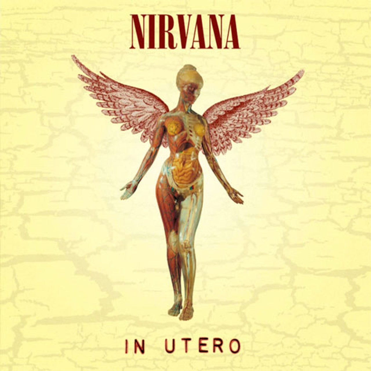 Nirvana - In Utero (20th Anniversary Edition) [3LP] (180 Gram 45RPM 2LP, plus bonus 33 1/3 LP of remastered b-sides and bonus tracks)
