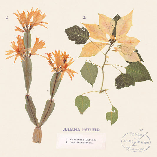 RSD Juliana Hatfield / Christmas Cactus & Red Poinsettia 7"