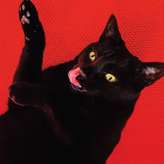 Ryan Adams - Big Colors (Red Colored Vinyl)