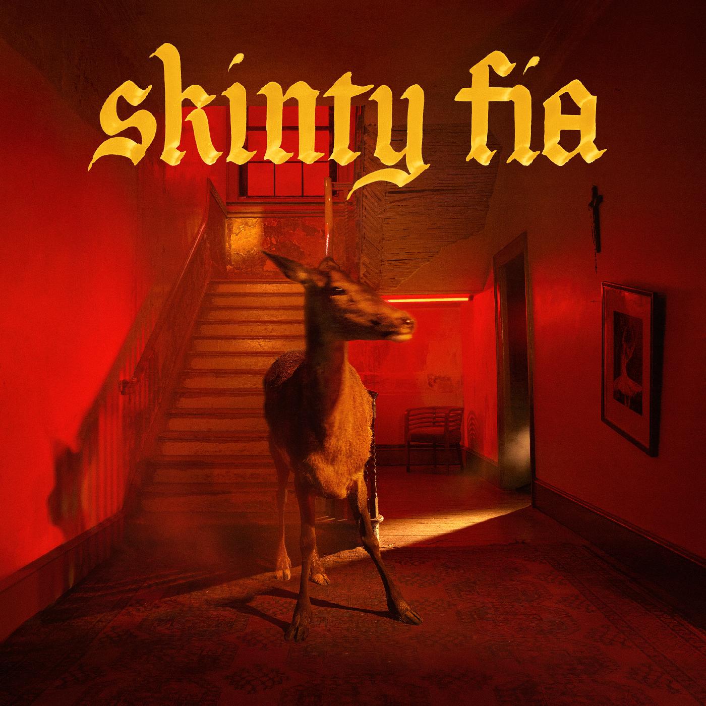 Fontaines D.C. - Skinty Fia (Deluxe Edition, limited)