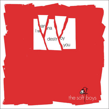 RSD The Soft Boys - Near the Soft Boys EP
