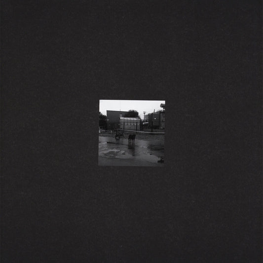 Nivhek - After Its Own Death / Walking In A Spiral Towards The House