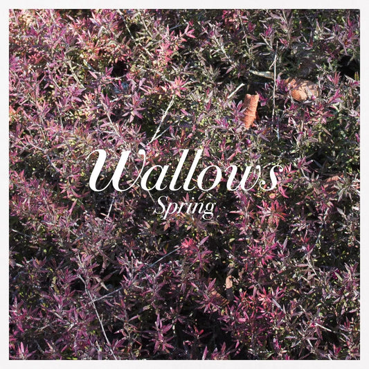 Wallows - Spring EP (Pink & Green Vinyl)