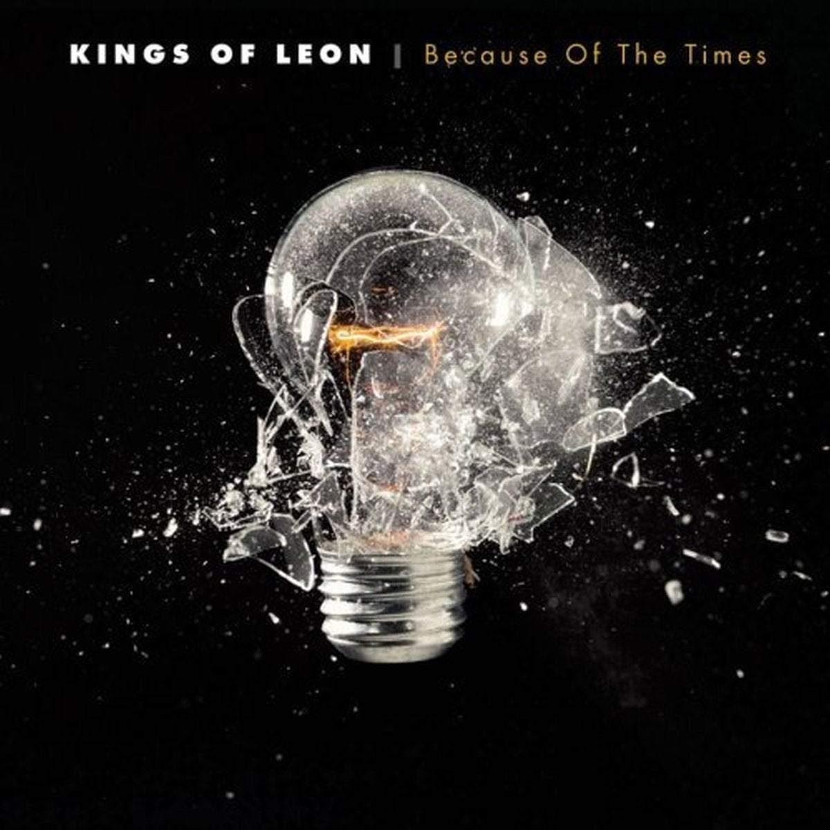 kings of Leon - Because of the Times