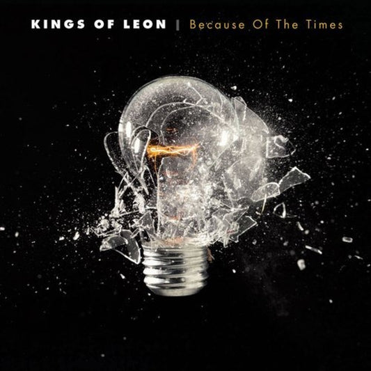 kings of Leon - Because of the Times