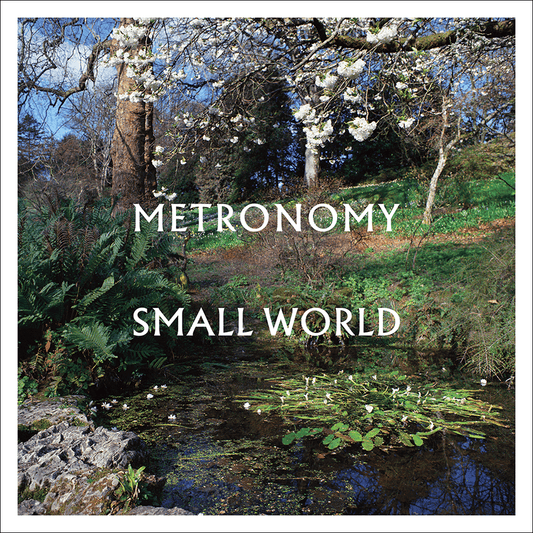Metronomy - Small World