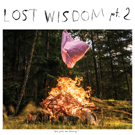 Mount Eerie - Lost Wisdom Pt. 2