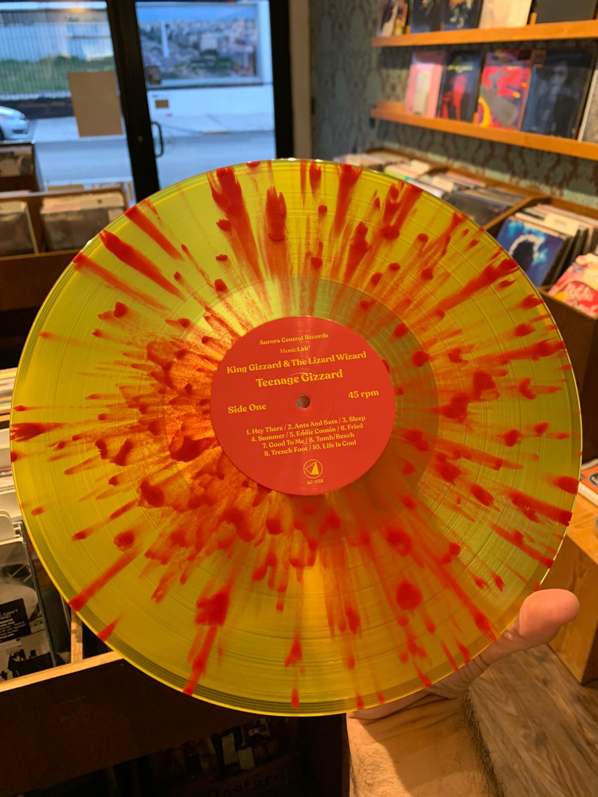 King Gizzard & The Lizard Wizard - Teenage Gizzard