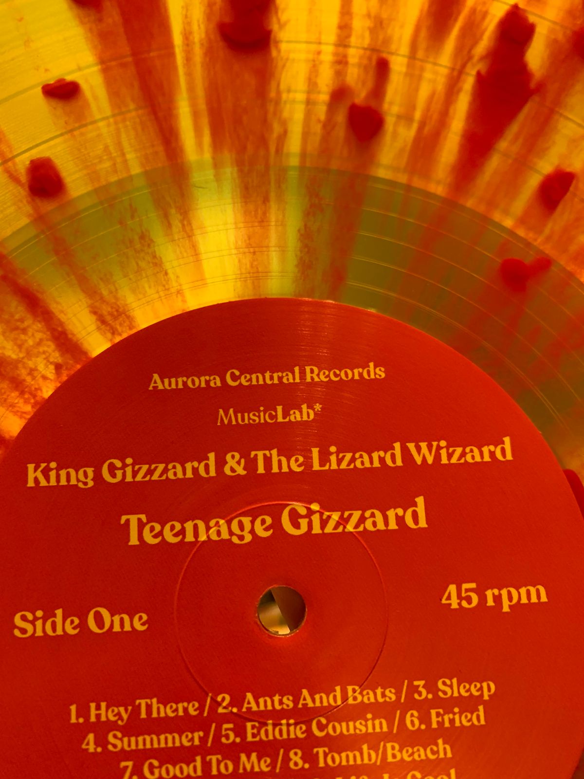 King Gizzard & The Lizard Wizard - Teenage Gizzard