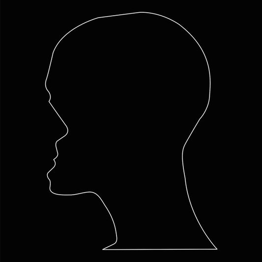 Nicolas Jaar ‎– Cenizas (Deluxe Vinyl, 2×LP + Book)