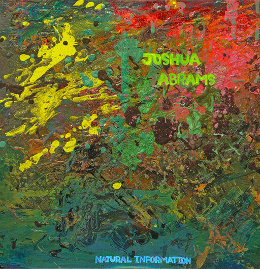 Joshua Abrams ‎– Natural Information