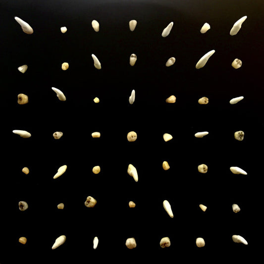 Clipping ‎– Visions Of Bodies Being Burned