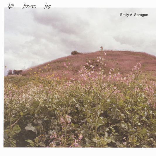 Emily A. Sprague ‎– Hill, Flower, Fog