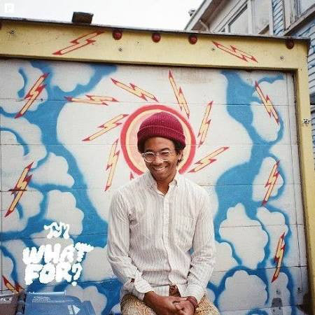 Toro Y Moi ‎– What For?