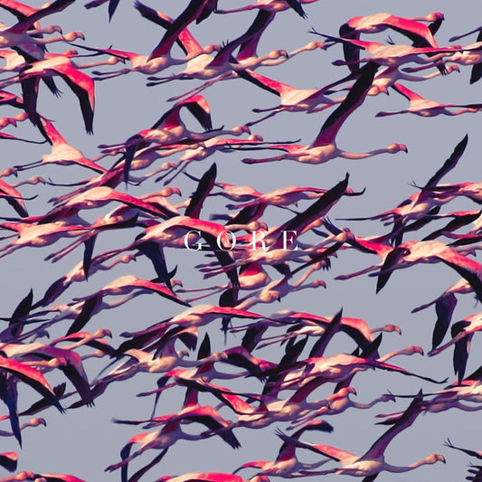Deftones ‎– Gore