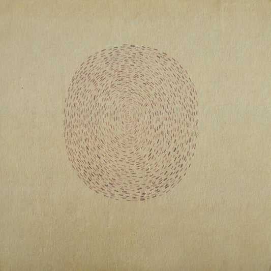 Devendra Banhart ‎– Rejoicing In The Hands / Niño Rojo