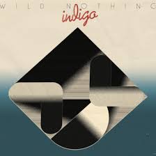Wild Nothing - Indigo