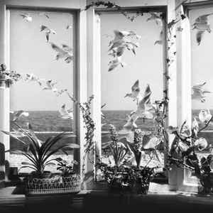 Andy Stott ‎– Never The Right Time