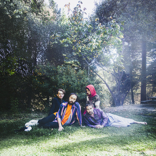 Big Thief ‎– U.F.O.F.
