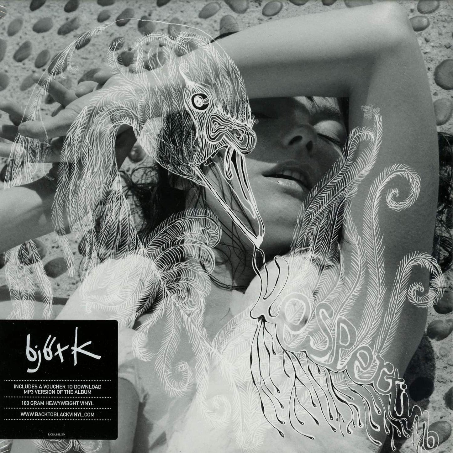 Bjork - Vespertine (180 Gram Black Vinyl)