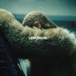 Beyonce - Lemonade (Yellow Vinyl)
