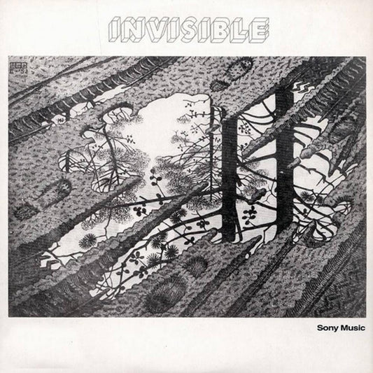 Invisible - Invisible