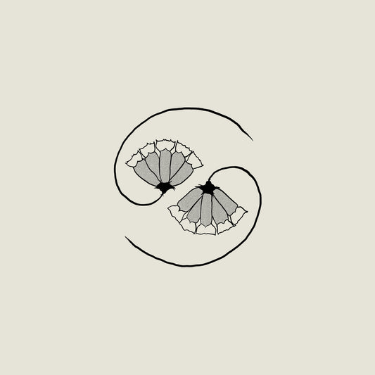 Godspeed You! Black Emperor - G_d's Pee AT STATE'S END! [LP+10''] (180 Gram)