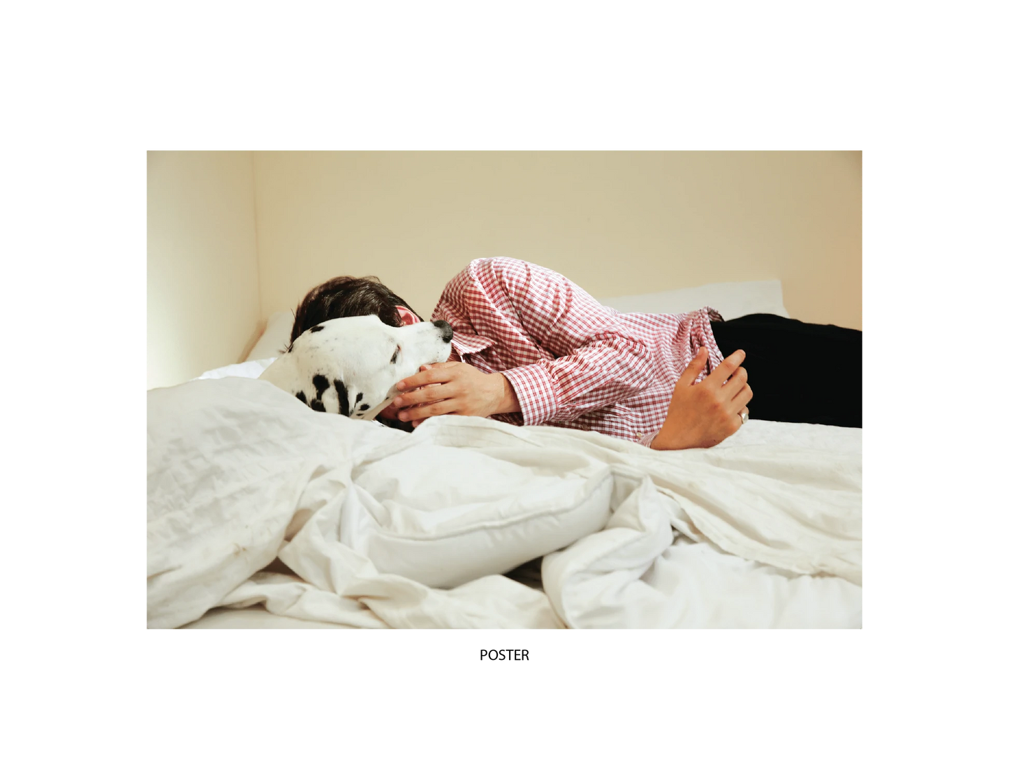 Rex Orange County - Who Cares? (Signed insert)