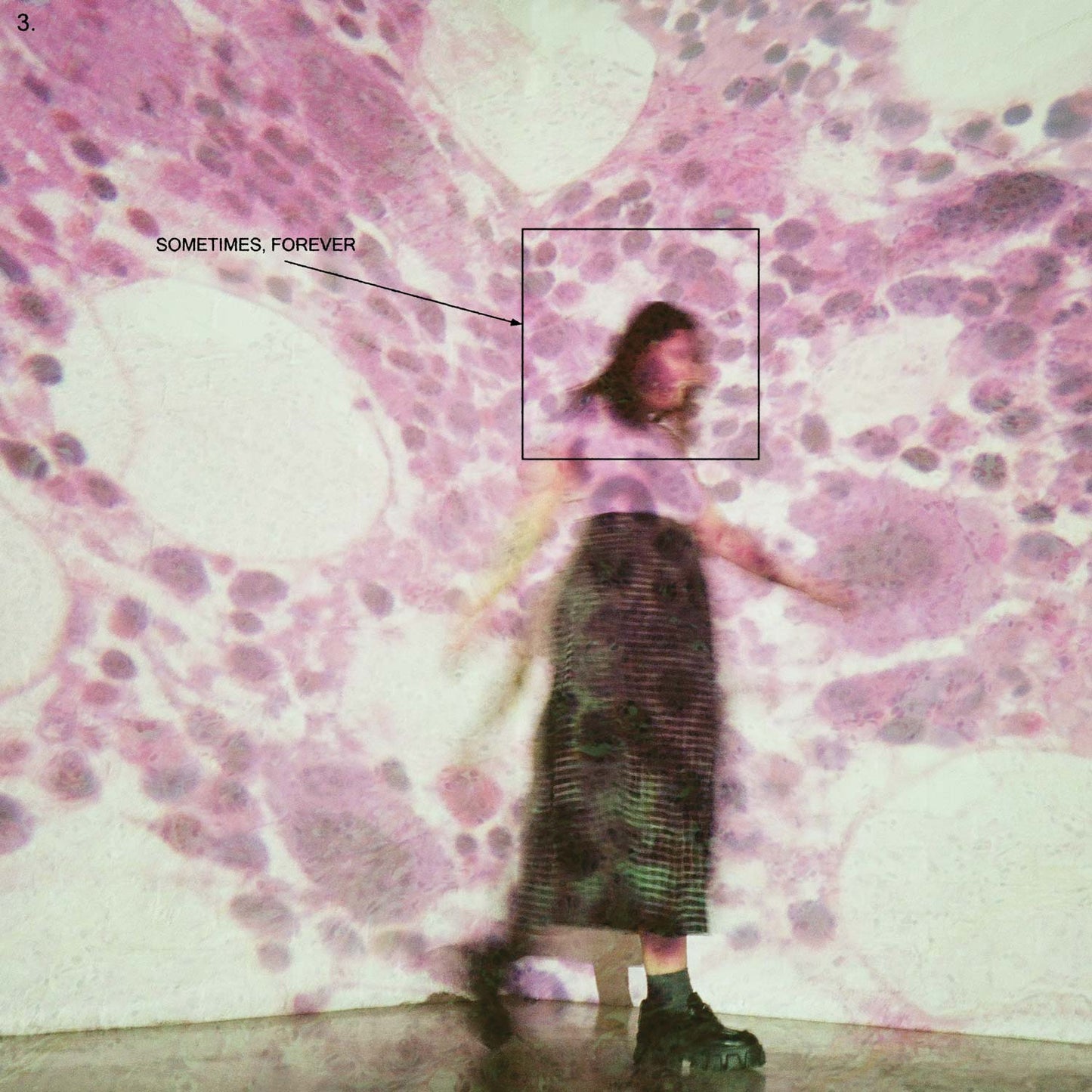 Soccer Mommy . Sometimes, Forever (Limited Edition)