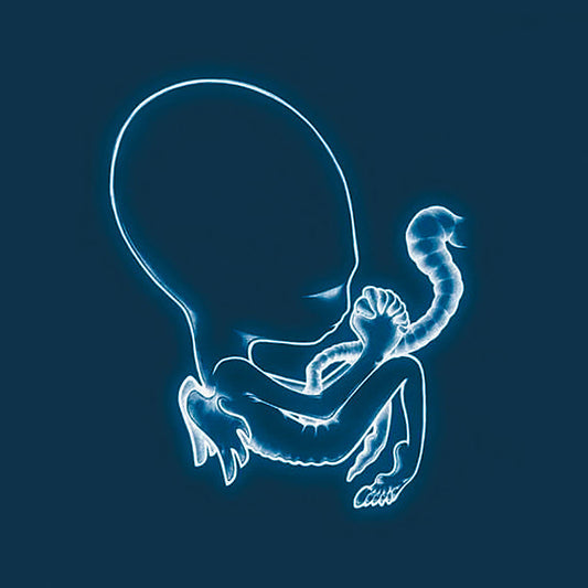 Sigur Ros - Agaetis Byrjun (2LP heavy weight vinyl)